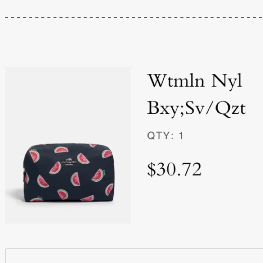 Coach Cosmetics Bag